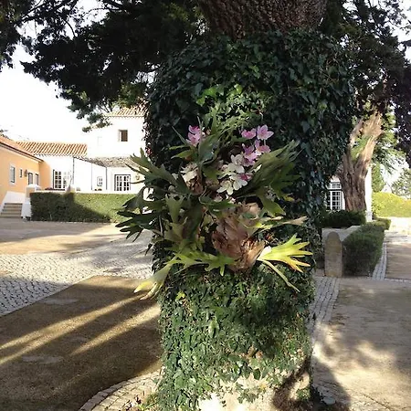 Quinta Do Arco Da Velha
