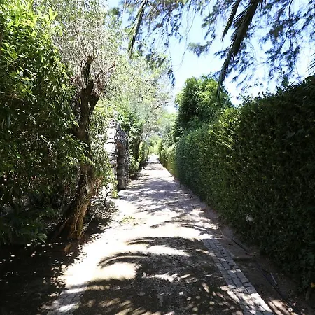 Quinta Do Arco Da Velha * Sintra
